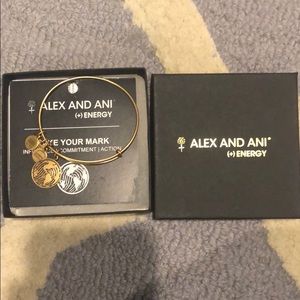 Alex and Ani make your mark bracelet